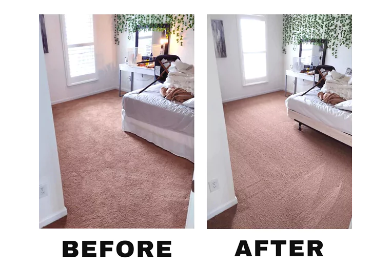 carpet-cleaning-xp-clean-solution-1-67b5d014a12e8